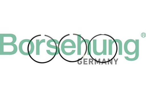 [B10362] PISTON RING STD BORSEHUNG VAG