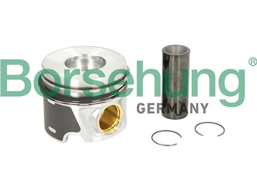 [B19300] PISTON WITH RING KIT STD BORSEHUNG VAG