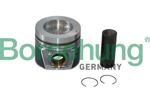 [B19299] PISTON WITH RING KIT STD BORSEHUNG VAG