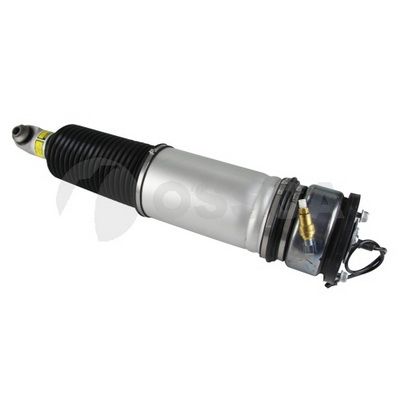 [24315] AIR STRUT LHR OSSCA BMW