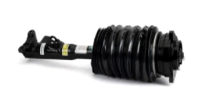 [87970] AIR STRUT RHF OSSCA MERC