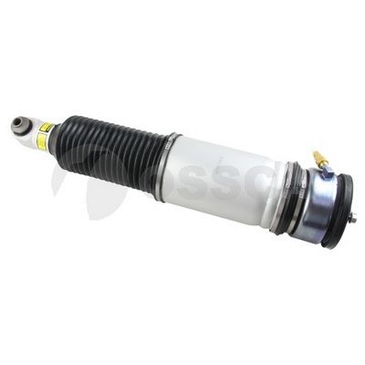 [21729] AIR STRUT RHR OSSCA BMW