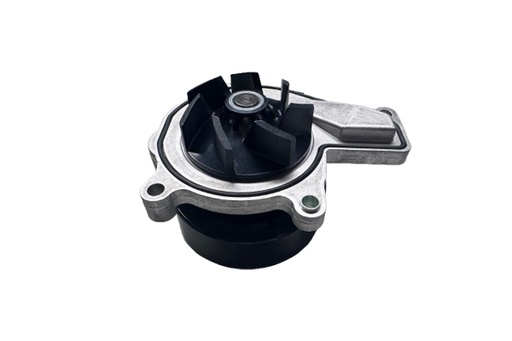 [B11219] WATER PUMP BORSEHUNG BMW