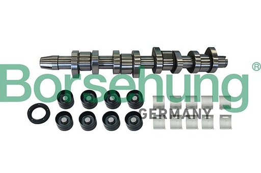 [B11307] CAMSHAFT KIT BORSEHUNG VAG