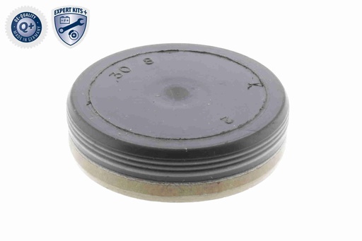 [V30-2054] TIMING CASE PLUG VAICO MERC