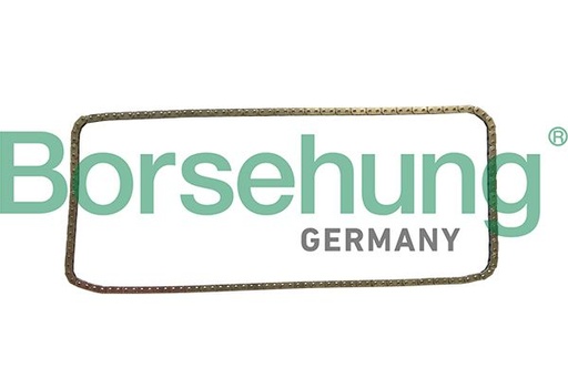 [B1C029] TIMING CHAIN BORSEHUNG BMW