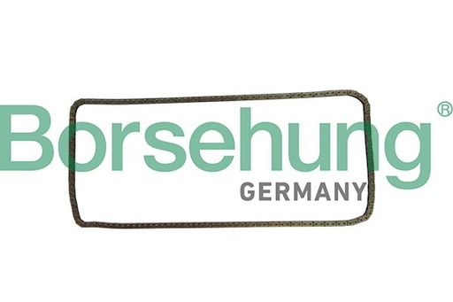 [B1C030] TIMING CHAIN BORSEHUNG BMW