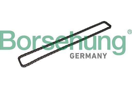 [B1C024] TIMING CHAIN BORSEHUNG BMW
