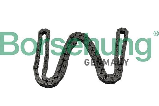 [B17886] TIMING CHAIN BORSEHUNG VAG