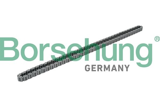 [B17876] TIMING CHAIN BORSEHUNG VAG