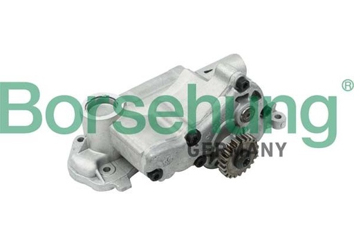 [B12698] OIL PUMP BORSEHUNG VAG