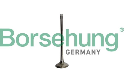 [B10335] EXHAUST VALVE BORSEHUNG BMW PSA