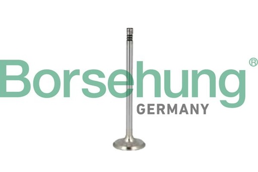 [B10346] EXHAUST VALVE BORSEHUNG MERC