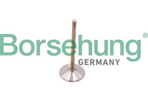 [B10348] EXHAUST VALVE BORSEHUNG MERC