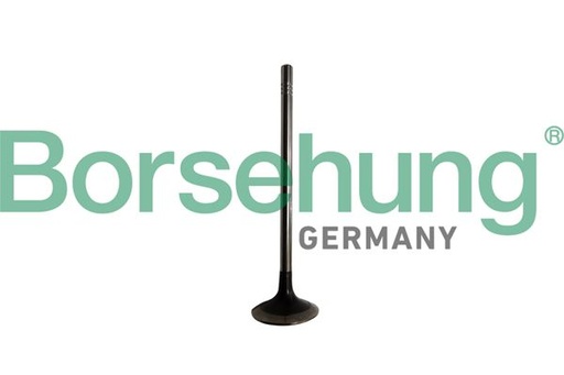 [B10329] EXHAUST VALVE BORSEHUNG VAG