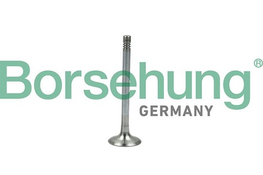 [B19005] EXHAUST VALVE BORSEHUNG VAG