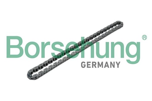[B17905] OIL PUMP CHAIN BORSEHUNG VAG