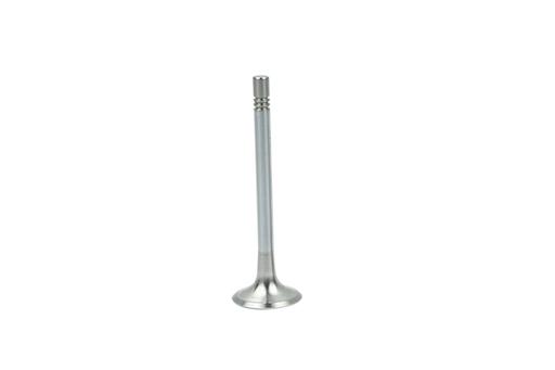 [B19004] EXHAUST VALVE BORSEHUNG VAG