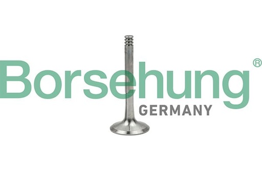 [B18997] EXHAUST VALVE BORSEHUNG VAG