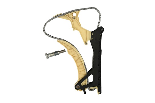 [B18855] TIMING CHAIN KIT BORSEHUNG BMW