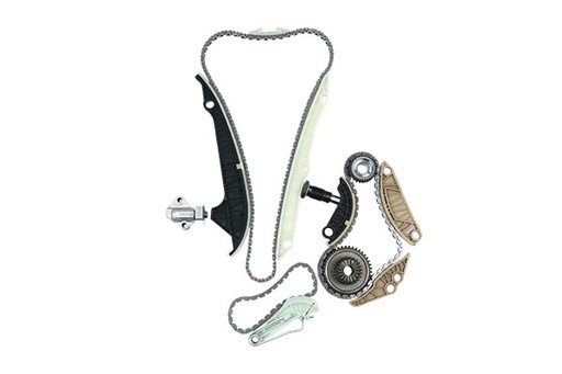 [B16298] TIMING CHAIN KIT COMPLETE BORSEHUNG VAG