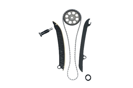 [B18977] TIMING CHAIN KIT BORSEHUNG VAG