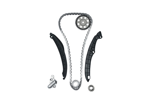 [B18824] TIMING CHAIN KIT BORSEHUNG VAG