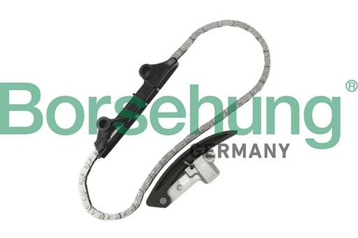 [B10209] TIMING CHAIN KIT OIL PUMP BORSEHUNG VAG