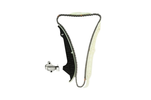 [B10203] TIMING CHAIN KIT BORSEHUNG VAG