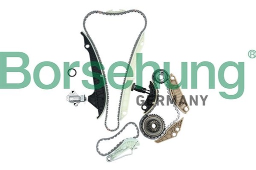 [B19209] TIMING CHAIN KIT BORSEHUNG VAG