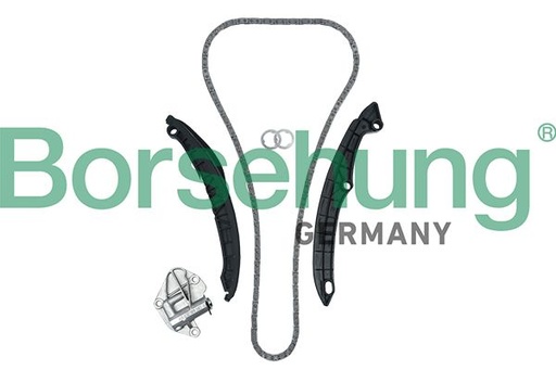 [B19229] TIMING CHAIN KIT BORSEHUNG VAG