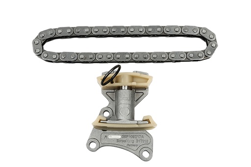 [B18847] TIMING CHAIN KIT BORSEHUNG VAG