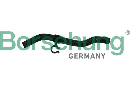 [B11975] COOLANT HOSE BORSEHUNG VAG
