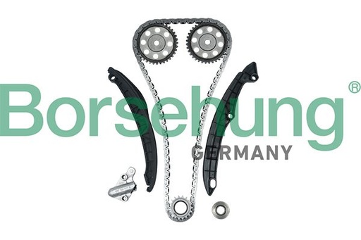 [B16300] TIMING CHAIN KIT W/GEARS BORSEHUNG VAG