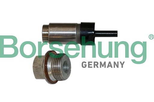 [B1T023] TIMING CHAIN TENSIONER BORSEHUNG MINI