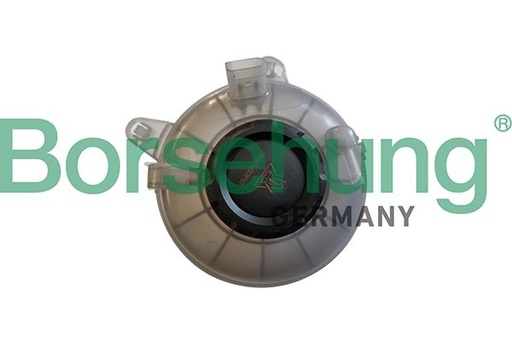 [B11941] EXPANSION TANK WITH CAP BORSEHUNG VAG