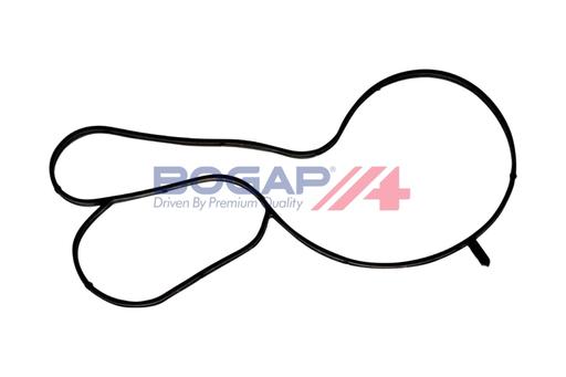 [A4248102] SEAL BOGAP A+ VAG