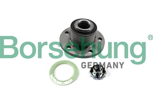 [B19309] WHEEL BEARING KIT FRONT BORSEHUNG VAG
