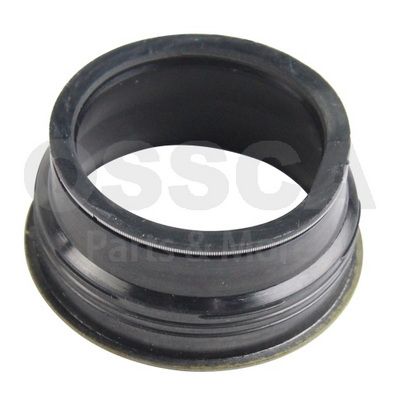 [54999] SEALING RING OSSCA LAND ROVER