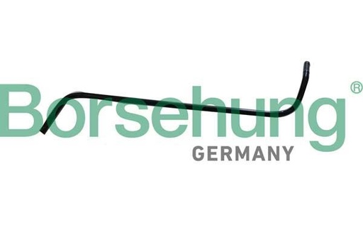 [B11996] COOLANT PIPE BORSEHUNG VAG