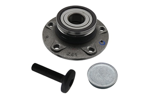 [B19310] WHEEL BEARING KIT REAR BORSEHUNG VAG