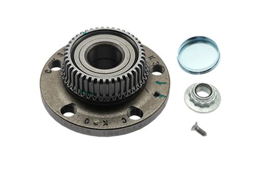 [B19231] WHEEL BEARING KIT REAR BORSEHUNG VAG