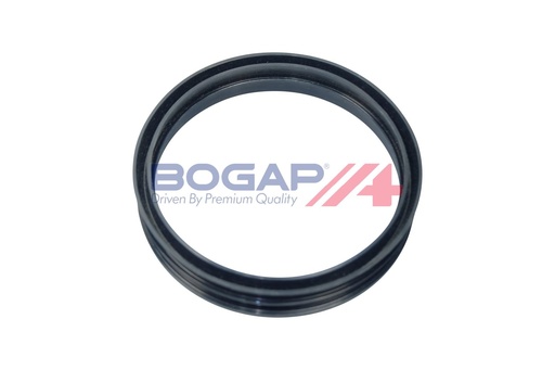 [A1623102] FUEL PUMP SEAL BOGAP VAG