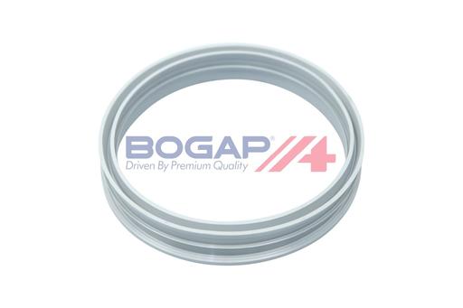 [A1623101] FUEL PUMP SEAL BOGAP VAG