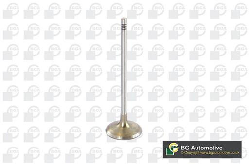 [V090104] INLET VALVE BGA BMW