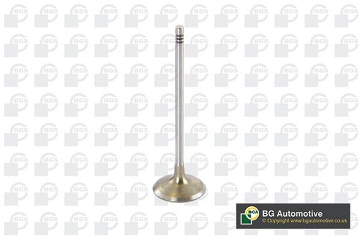[V090104] INLET VALVE BGA BMW