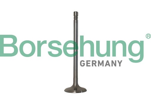 [B10347] INLET VALVE BORSEHUNG MERC