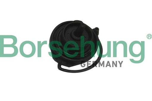 [B18783] FUEL TANK CAP BORSEHUNG VAG