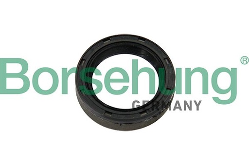 [B12192] INPUT SHAFT SEAL BORSEHUNG VAG