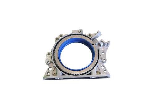 [B19244] CRANKSHAFT SEAL BORSEHUNG VAG